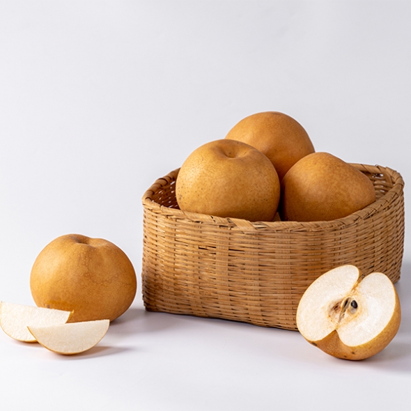 [배최고집] 가정용 원황 배 달콤한 배  3kg 5kg 