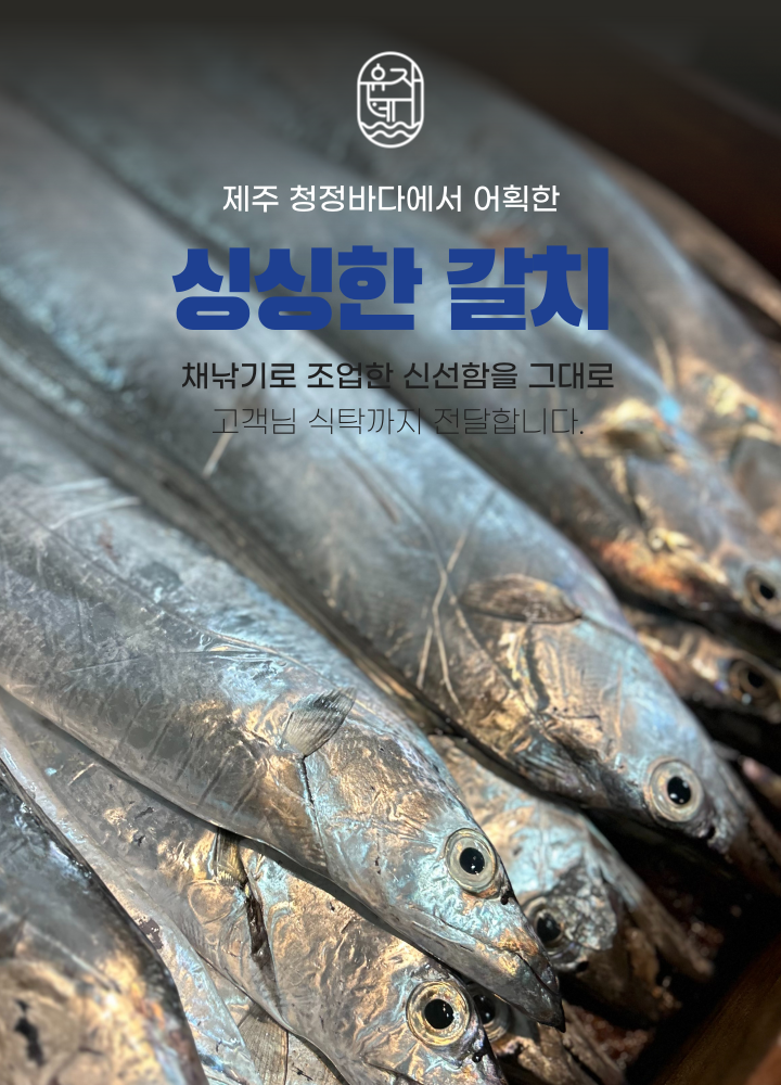싱싱한 제주 은갈치 3미 9토막 800g 무염 급냉