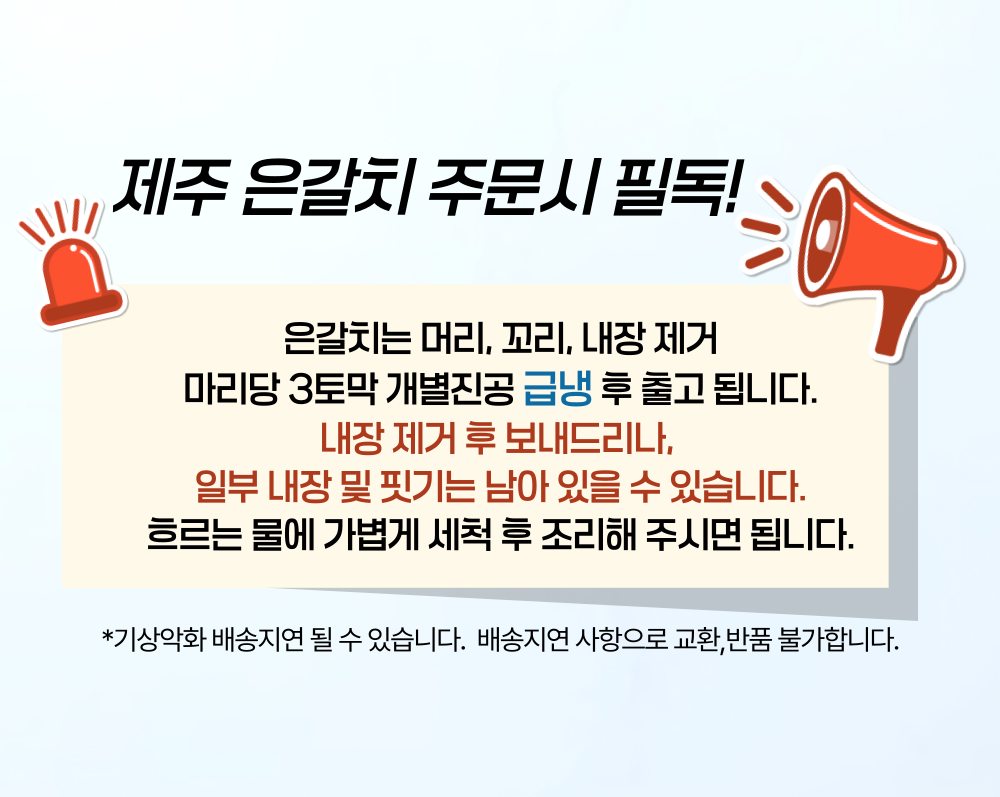 싱싱한 제주 은갈치 3미 9토막 800g 무염 급냉