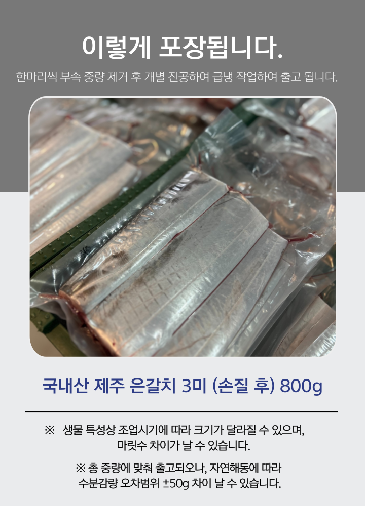 싱싱한 제주 은갈치 3미 9토막 800g 무염 급냉