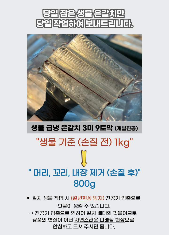 싱싱한 제주 은갈치 3미 9토막 800g 무염 급냉