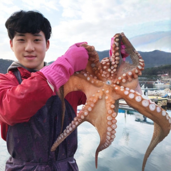 [신한카드 할인]산지직송 통영 자연산 돌문어 1kg 제수용