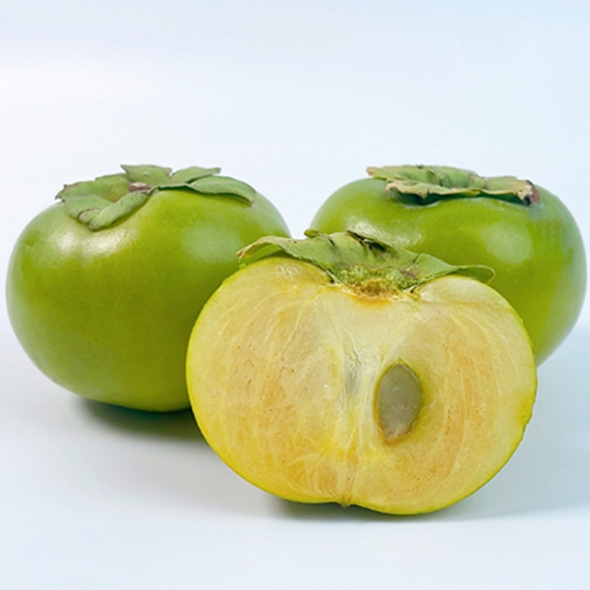 [단감최고] 태추 단감 배 단감 1kg 2kg 3kg 4kg