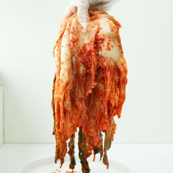 [평담] 배추김치 3kg/5kg/7kg/10kg (100% 국산)