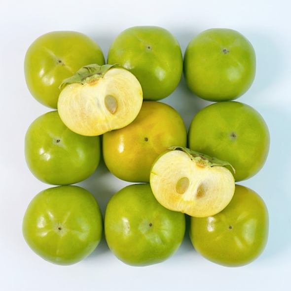 [단감최고] 태추 단감 배 단감 1kg 2kg 3kg 4kg