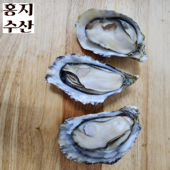 [추석] 홍지수산 고흥석화 삼배체굴 4-8개 1kg  프리미엄 수출굴