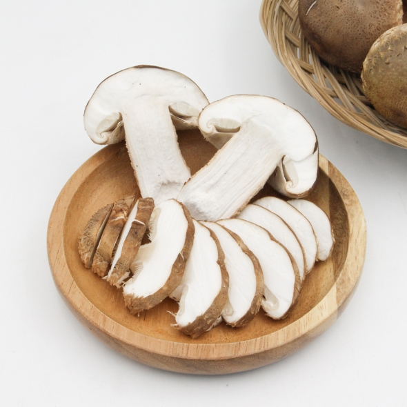 [추석선물세트] 송화고버섯 정품 선물세트 500g/ 1kg