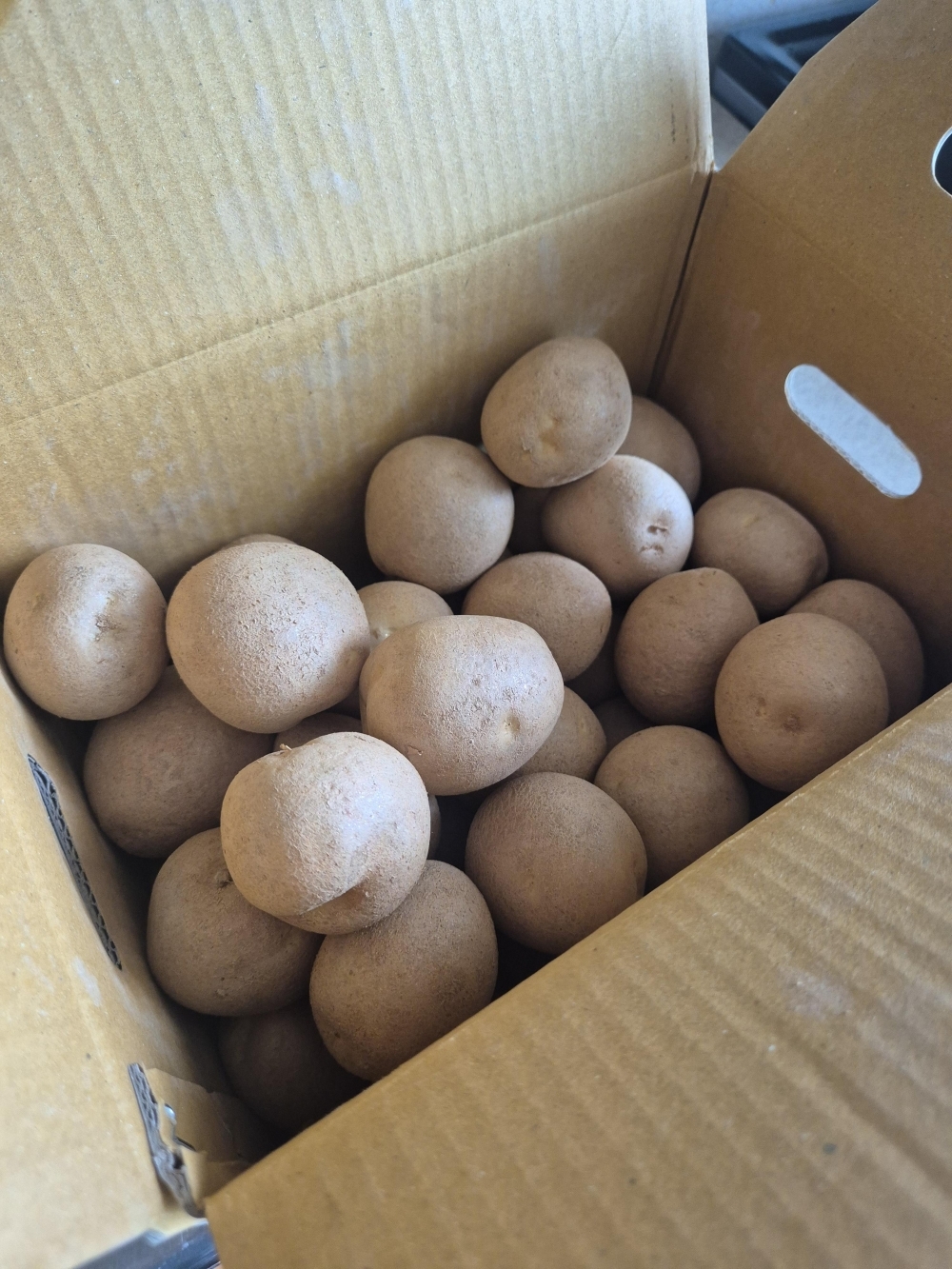 25년 햇감자 중 대 특 왕특 3kg 5kg 김제 국내산