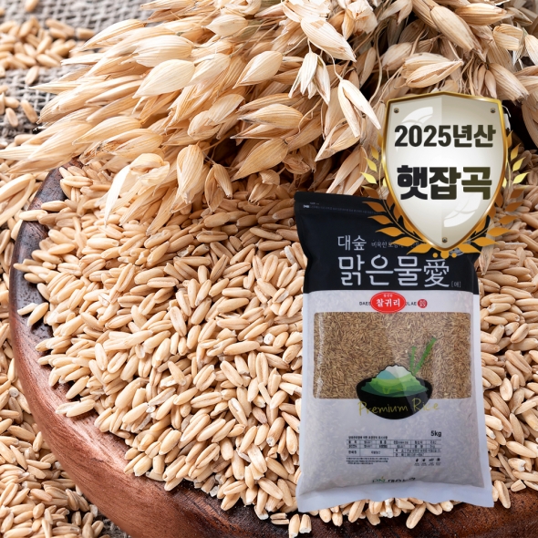 [대숲맑은물애] 25년산 영양곡물 알갱이 찰귀리쌀 1kg~5kg