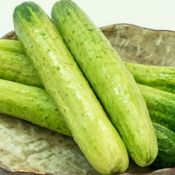[오이최고] 수분 촉촉 백오이 아삭 하얀오이 1kg 2kg 3kg 5kg 백다다기