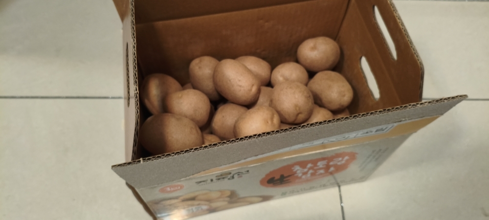 25년 햇감자 중 대 특 왕특 3kg 5kg 김제 국내산