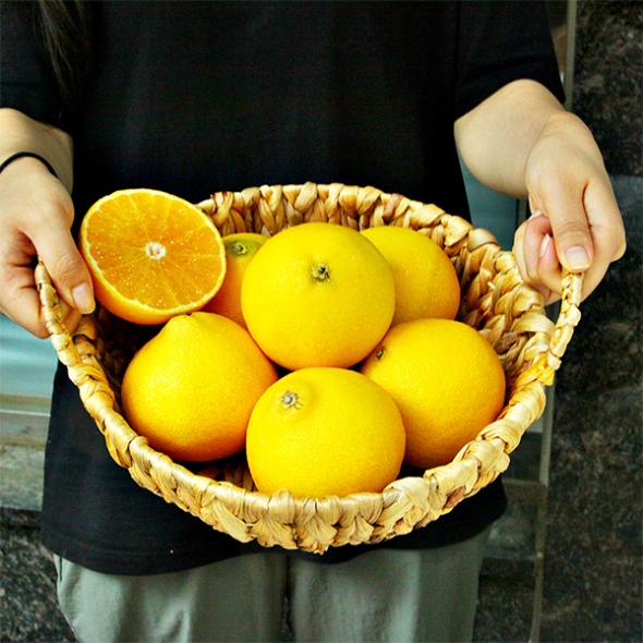 [명절캄므] 제주 황금향 선물세트 2kg 3kg 5kg 선물가방 포함