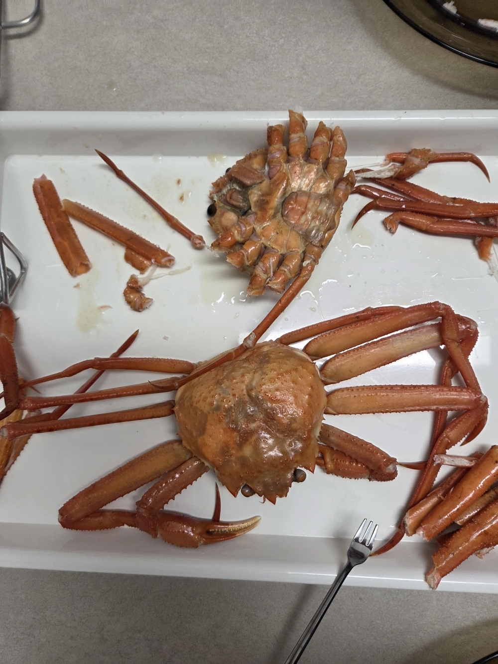 산지직송 구룡포 연지홍게  홍게제철  실속 가성비 3kg (10-12미)
