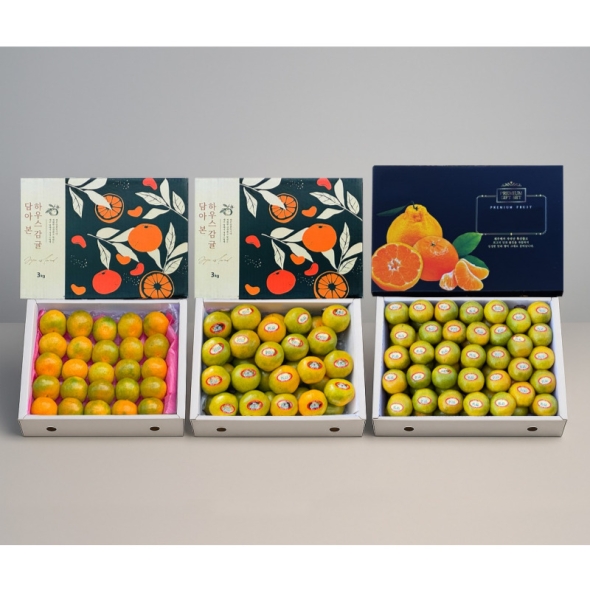 [추석선물세트] 제주 감귤 로얄과 선물세트 2kg/ 3kg/ 5kg