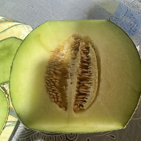 부드러운 과육 고당도 머스크메론(푸)