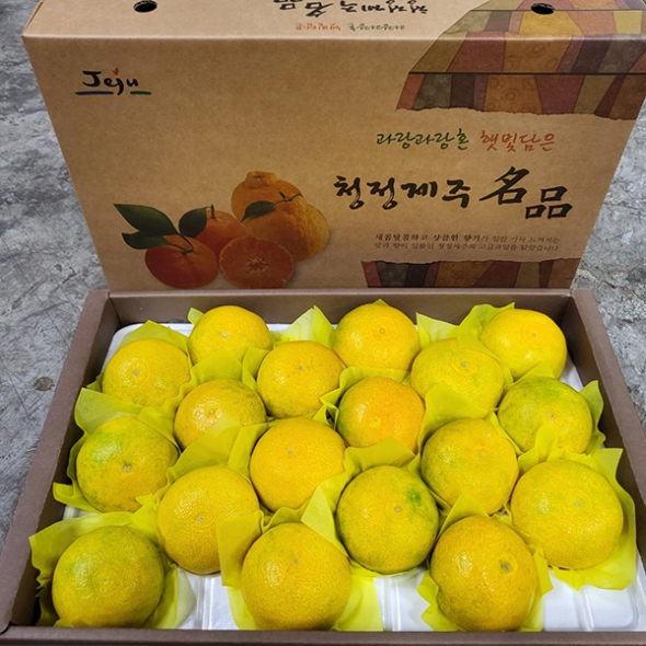 [명절캄므] 제주 황금향 선물세트 2kg 3kg 5kg 선물가방 포함