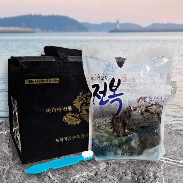 프리미엄 활전복 선물세트 2호 1kg, 8~9 미
