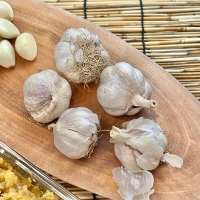 진하게 퍼지는  알싸한 맛의  깐마늘