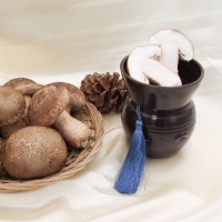 [명절캄므] 송화고 버섯 선물세트 500g 1kg
