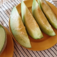 부드러운 과육 고당도 머스크메론(푸)