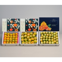 [추석선물세트] 제주 감귤 로얄과 선물세트 2kg/ 3kg/ 5kg