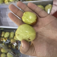 [신한카드 할인] 프리미엄  사과대추(푸)