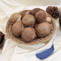 [명절캄므] 송화고 버섯 선물세트 500g 1kg