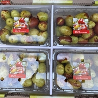 프리미엄  사과대추(푸)