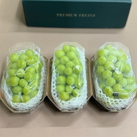 [선물세트] 아삭한 식감의 샤인머스캣 선물세트