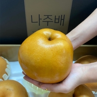 [명절캄므] 나주 배 선물세트 5kg 7.5kg
