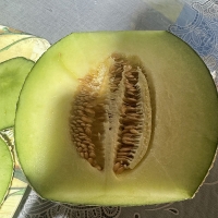 부드러운 과육 고당도 머스크메론(푸)