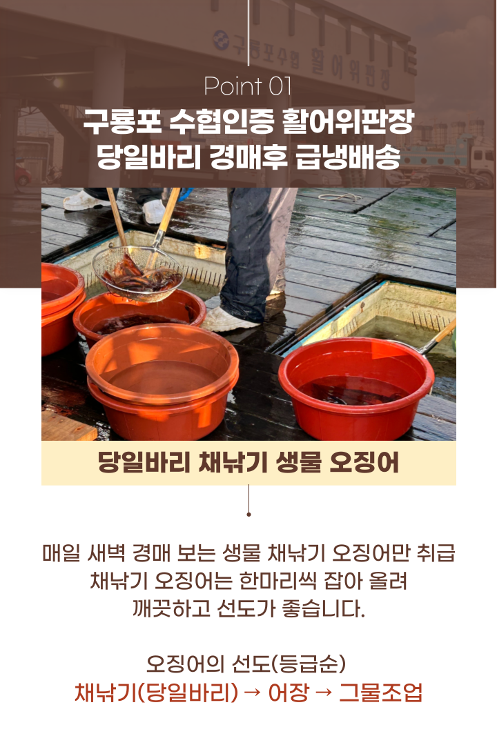 100%구룡포 생물오징어 당일바리 채낚기 활 급냉 1kg