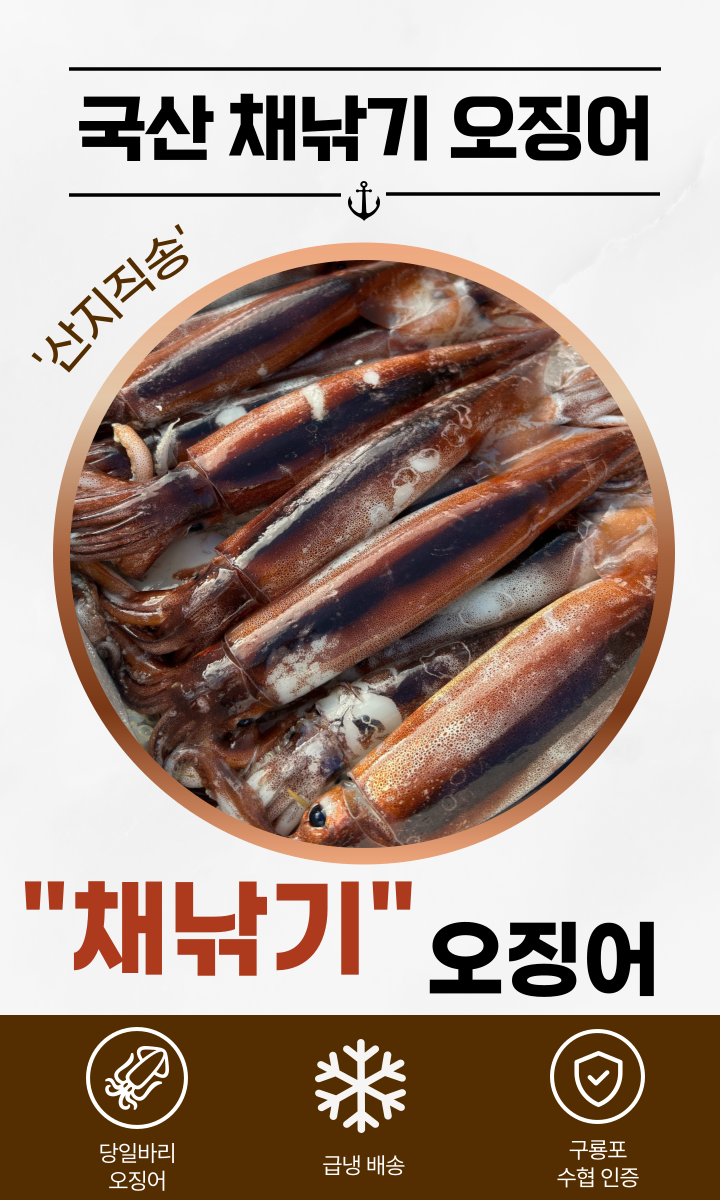 100%구룡포 생물오징어 당일바리 채낚기 활 급냉 1kg