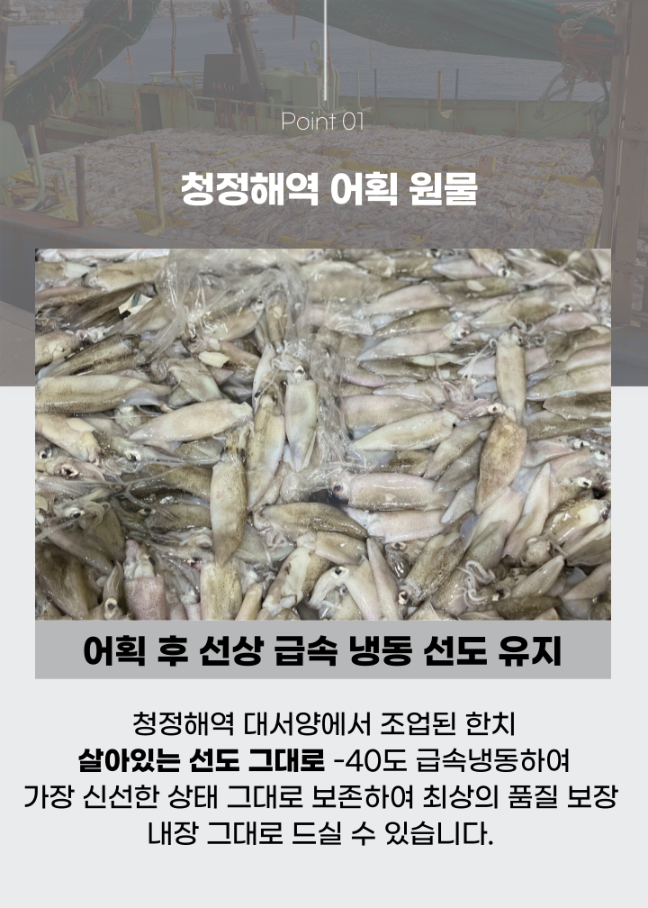 자연산 한치 총알한치 통찜한치 생물 급랭 1kg (14~26미)