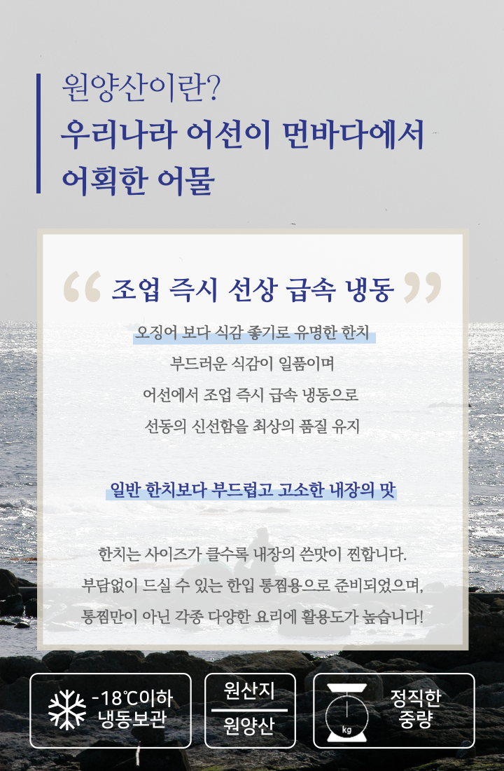 자연산 한치 총알한치 통찜한치 생물 급랭 1kg (14~26미)