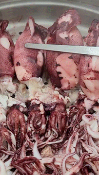 자연산 한치 총알한치 통찜한치 생물 급랭 1kg (14~26미)