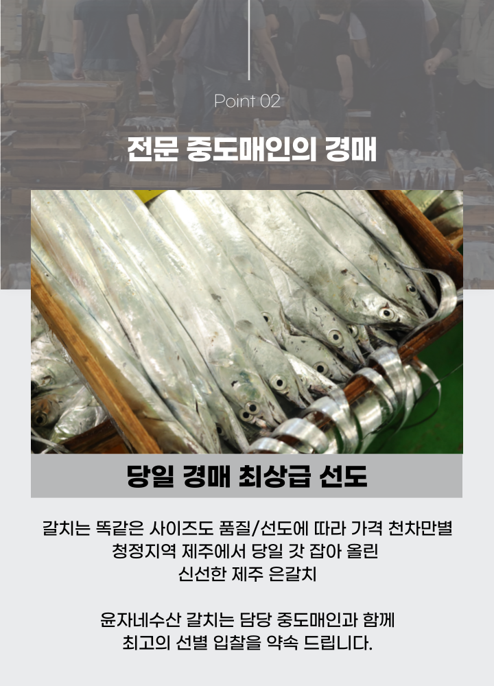 싱싱한 제주 은갈치 3미 9토막 800g 무염 급냉