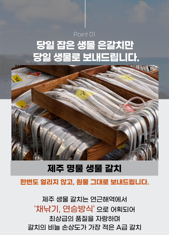싱싱한 제주 은갈치 3미 9토막 800g 무염 급냉