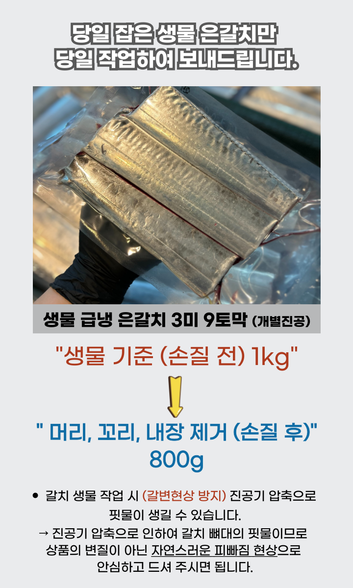 싱싱한 제주 은갈치 3미 9토막 800g 무염 급냉