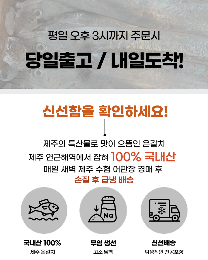 싱싱한 제주 은갈치 3미 9토막 800g 무염 급냉