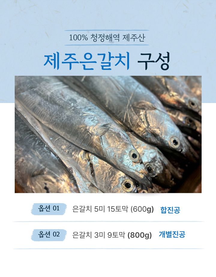 싱싱한 제주 은갈치 3미 9토막 800g 무염 급냉