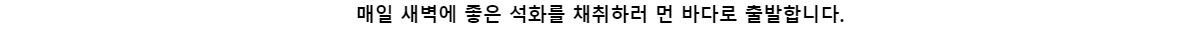 매일 새벽에 좋은 석화를 채취하러 먼 바다로 출발합니다.